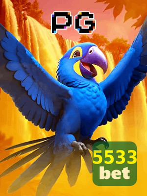 5533BET bônus — cashback 15 por cento e níveis VIP